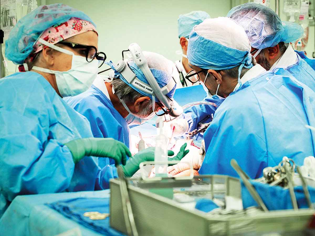 संयुक्त अरब अमीरात: पशु अंग प्रत्यारोपण की अनुमति